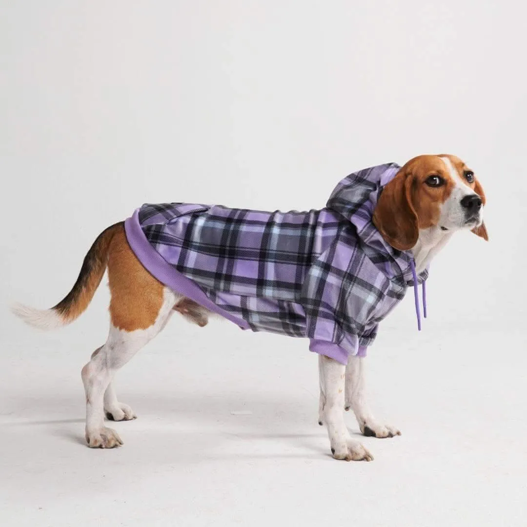 Plaid Dog Hoodies